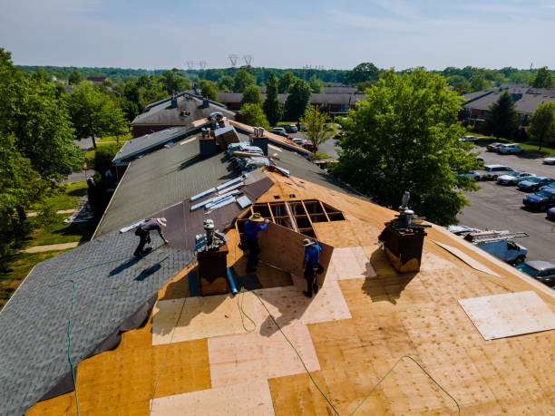 Best Storm Damage Roof Repair  in Jeanerette, LA